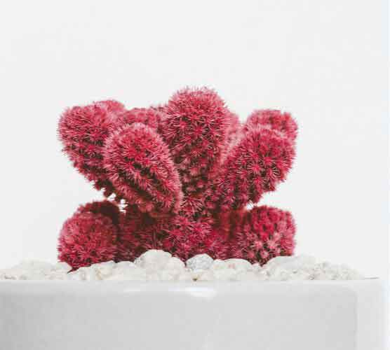 DDOS压力测试网页端